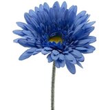 Di.Mo veštački cvet gerber 64cm, plavi cene