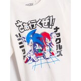 Sinsay Majica kratkih rukava Sonic the Hedgehog | shoptok.hr