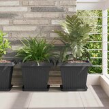  Kvadratna posuda za cvijeće 24 pcs Crna 25,5 x 25,5 x 2,5 cm | shoptok.hr
