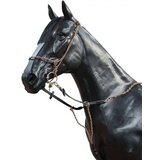 Zaldi T+T Uzda za konje sa martingalom | Eponuda.com