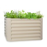 Blumfeldt High Grow Straight povišena žardinjera, Bež Cijene