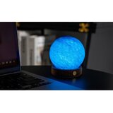 Gingko LED namizna svetilka v temni naravni barvi s steklenim senčilom (višina 9 cm) Galaxy Breeze – | Shoptok.si