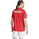  Majice s kratkimi rokavi T-shirt Benfica 24/25 rouge Rdeča | Shoptok.si