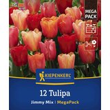 KIEPENKERL Mega pakiranje tulipanov "Jimmy Mix" - 12 k. Cene