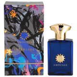 Amouage Interlude parfemska voda 50 ml za muškarce | shoptok.hr
