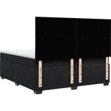  Krevet s oprugama i madracem crni 200x200 cm baršunasti | shoptok.hr