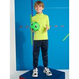 Sinsay Jogger hlače Active | shoptok.hr