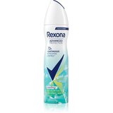 Rexona antiperspirant u spreju kokos I eukaliptus 150ml Cene