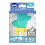 Chicco grizalo vodno kaktus 4m+ | Shoptok.si