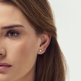 SIF JAKOBS DIAMONDS SJ-E2503-WD-WG | Shoptok.si