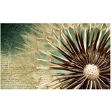  Tapeta - Story of the Summer 450x270 | shoptok.hr