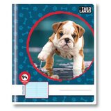  Zvezek za pisanje tako lahko B5, P4, črte, 40 listov, latajn | Shoptok.si