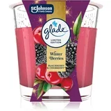Winter Berries dišeča sveča 112 g