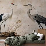 Foto tapeta - Birds from an old engraving - vintage-style illustration depicting a heron and a crane 196x140 Samoljepljiva | shoptok.hr