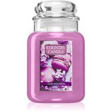 Country Candle Lilac Macaron dišeča sveča 737 g Cene