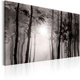  Slika - Foggy Forest 90x60 Cijene
