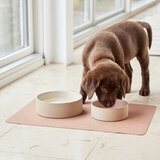 OYOY Living Design Keramička zdjela za hranu za ljubimce za pse ø 13 cm Sia – | shoptok.hr