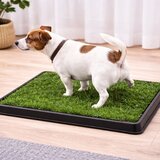  WC za pse s umjetnom travom 60 x 40 cm | shoptok.hr