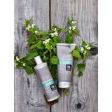 Urtekram Nettle Shampoo - 250 ml Cijene