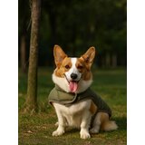 Sinsay Kostim za psa | shoptok.hr