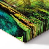  Slika - A Jewel of Nature 135x45 Akustična | shoptok.hr