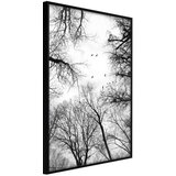  Poster - Treetops 30x45 Cijene