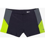Speedo Kupaće gaće DIVE ASHT JM | ePonuda.com