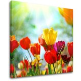  Slike na platnu cveće (moderne slike na platnu) | ePonuda.com