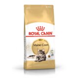 Royal Canin FBN Maine Coon, potpuna i uravnotežena hrana za mačke, specijalno za odrasle mačke pasmine Maine Coon starije od 15 mjeseci, 10 kg | shoptok.hr