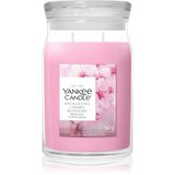 Yankee Candle Enchanting Cherry Blossom dišeča sveča 567 g | Shoptok.si