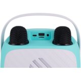 Vivax VOX BT karaoke BS-20 Duo Green | shoptok.hr