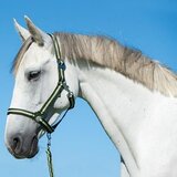 Kerbl Ular za konje Hippo crno-zeleno 0 Shetland | Eponuda.com