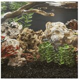 vidaXL Zmajev kamen 25 kg mešane barve 10-30 cm | Shoptok.si