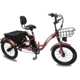 Emotion električni tricikl rider, 20", braon Cene