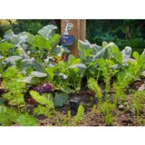 Gardena smart Senzor set 19202-20 | Shoptok.si
