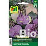 BIO koleraba delikatesa modra | Shoptok.si