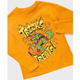 Sinsay Majica dugih rukava Teenage Mutant Ninja Turtles | shoptok.hr