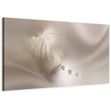  Slika - Delicate Feather 135x45 | shoptok.hr