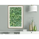  Poster - Hidden 20x30 | shoptok.hr