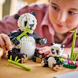 Lego Creator 3in1: Divje živali: družina pand | Shoptok.si