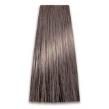 Prosalon Farba za kosu COLORART - Pepeljasta plava 7/1 100g Cijene