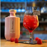 Berryshka Gin ‘N Berry Gin 0,7L | Shoptok.si