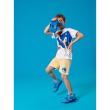 Sinsay Majica kratkih rukava Sonic the Hedgehog | shoptok.hr