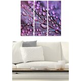 Wallity Set slika MDF2432391, 3 dijela | Eponuda.ba