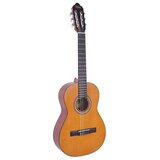 Valencia Series 200 klasična gitara Cijene