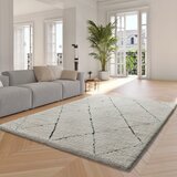 Universal Kremno bela preproga 200x290 cm Atesa – | Shoptok.si