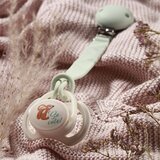 BabyOno Take Care Symmetrical Silicone Soothers duda Day & Night 6-18m+ 2 kos | Shoptok.si