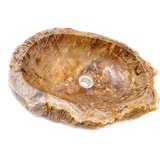 Miraggio Umivaonik Fossil Wood 40 | shoptok.hr
