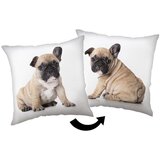 Jerry Fabrics Dječji jastuk 40x40 cm Bulldog – Cijene