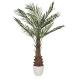 MID.YOU Umetna Rastlina Dracaena Cene
